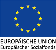 EU Logo